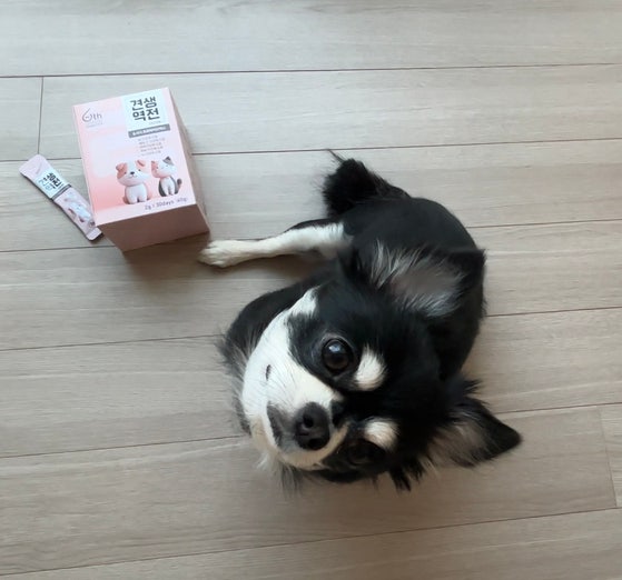 이퀄펫 6세대 유산균 '견생역전 에디션'. 사진 이퀄펫