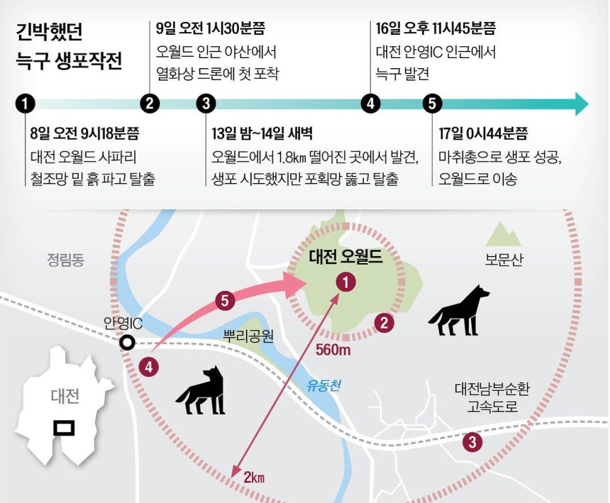 그래픽=남미가 기자