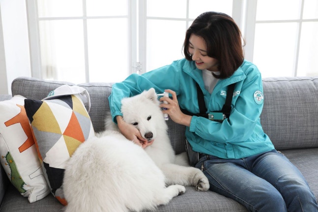 프리드라이프가 제공하는 도그메이트의 반려견 방문 돌봄 서비스. /도그메이트 제공