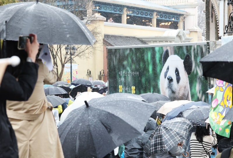 “사랑으로 잘 돌볼게요”… <b>푸바오</b> 맞이하는 <b>중국</b>도 들썩