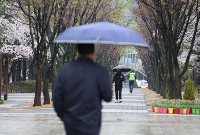 봄비가 내린 지난 3일 오후 대전 서구 보라매공원에서 시민들이 우산을 쓰고 걸어가고 있다. /연합뉴스