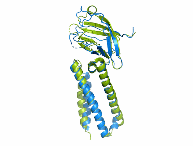 알파폴드가 예측한 단백질 구조(파란색)와 실험으로 확인된 단백질 구조(초록색)의 비교./딥마인드