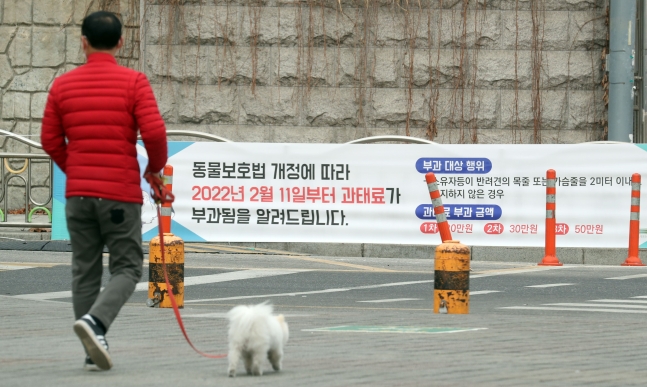 서울 뚝섬 공원에서 한 시민이 반려견과 산책을 하고 있다(사진은 기사 내용과 무관함). /뉴스1