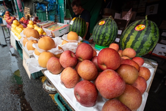 서울 송파구 가락농수산물도매시장에 사과 등 과일이 진열돼 있다. /뉴스1
