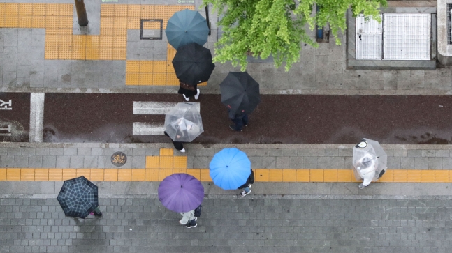 지난해 어린이날 서울 세종대로에서 우산을 쓴 시민들이 이동하고 있다. /뉴스1