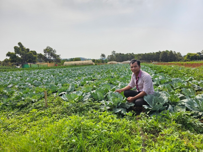 캄보디아 몬둘끼리주에서 2019년부터 농사를 지어온 쿨 렌씨가 현재 재배 중인 양배추를 소개하고 있다. /윤희훈 기자