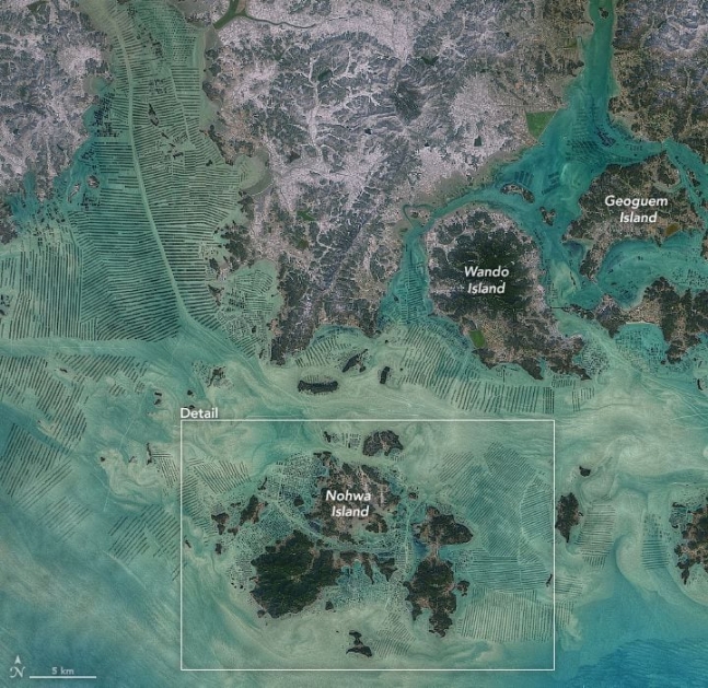 미 항공우주국(NASA)의 랜드샛(Landsat)8호가 2021년 2월 19일 촬영한 완도 해역./NASA