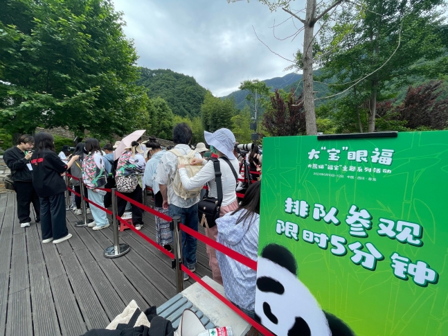 12일 중국 쓰촨성 청두시 외곽 자이언트판다 보호연구센터 워룽 선수핑기지에서 푸바오를 보기 위해 기다리는 관람객들. 푸바오는 30명씩 5분간 관람이 가능하다./이윤정 기자