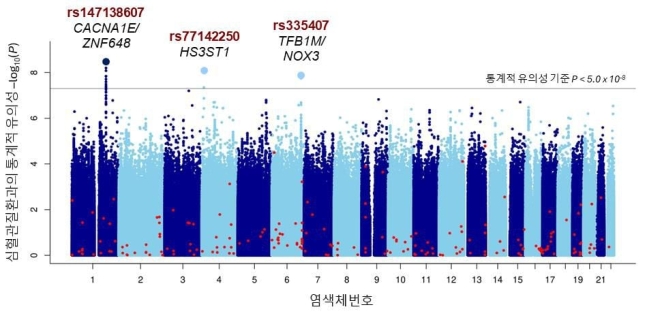 당뇨병 환자에게 심혈관질환 발생 위험을 높이는 것으로 확인된 유전적 변이. rs147138607(CACNA1E/ZNF648 유전자 부위), rs77142250(HS3ST1 유전자 부위), rs335407(TFB1M/