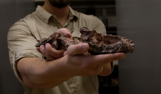 로드리고 뮐러 브라질 산타마리아연방대 연구원 연구진이 발견한 새로운 위악류의 화석./산타마리아연방대
