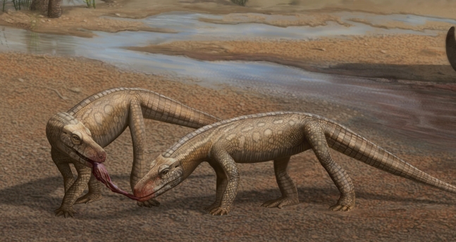 파르보스 아우렐리오(Parvosuchus aurelioi)의 상상도./산타마리아연방대