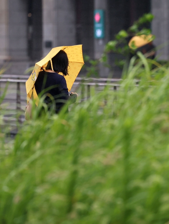 장마전선의 영향으로 전국이 흐린 가운데 30일 오전 서울 청계광장 일대에서 우산을 쓴 시민이 비바람을 막으며 걷고 있다. /뉴스1