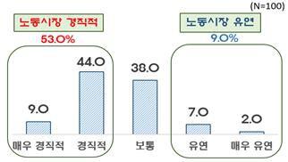 한국경제인협회가 여론전문조사기관 모노리서치에 의뢰해 실시한 한국 노동시장 인식조사 결과. /한경협 제공