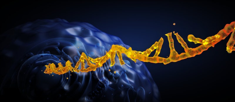 암세포 성장 조절하는 RNA 조각 발견… 새로운 암 치료 타겟 - 뉴스 썸네일 이미지