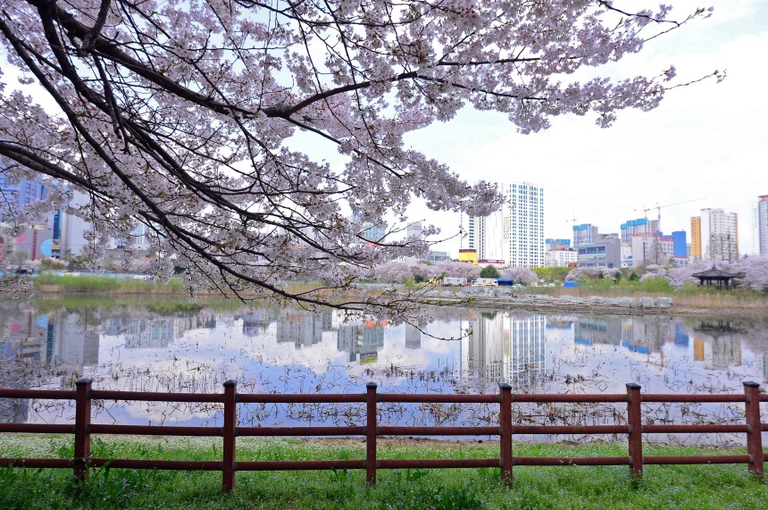 맑은 광주 날씨 모습./뉴스1