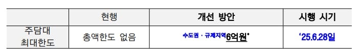 주택구입목적 주담대 여신한도 제한./금융위원회 제공