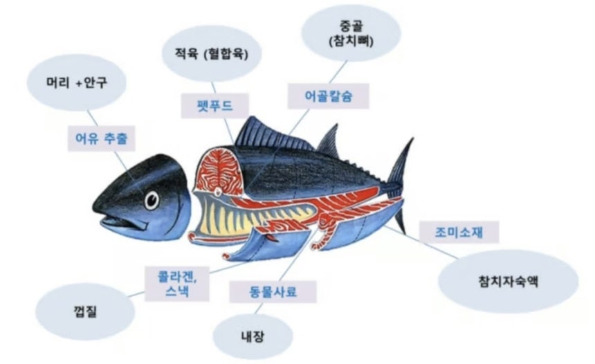 참치 살코기를 캔참치에 활용하고 나오는 참치 부산물의 부위/동원F&B 제공