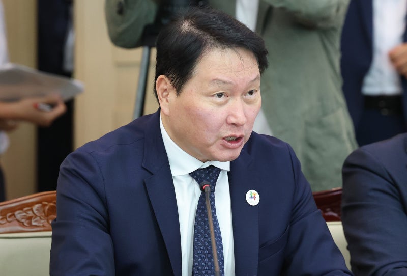 <b>최태원</b> SK회장, <b>동거인</b> 관련 <b>악성 루머</b> 제기한 유튜버 10여명 고소