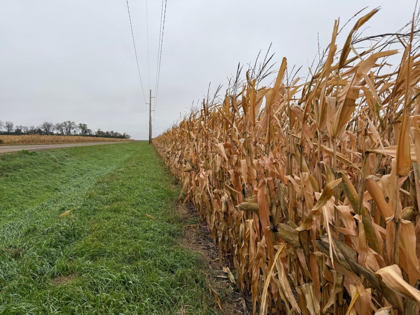 미국 강남 절반 밭 농사 두 명이 짓는 비결! 스마트 농업 기술 근황