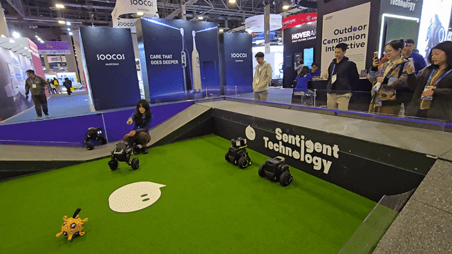 센티젠트 테크놀로지가 세계 최대 IT 전시회‘CES 2026’에서 공개한 45㎝ 크기의 야외용 동반 로봇‘ROVER X3’가 사용자가 던지는 공을 잡아오는 모습./라스베이거스=정두용 기자