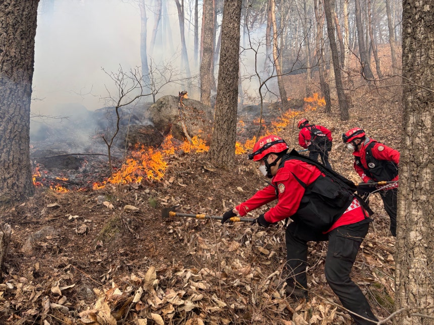 함양 산불 진화 작업 중인 산림재난특수진화대원./산림청