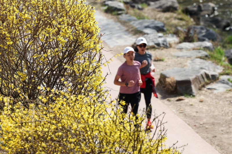 [비즈톡톡] "마라톤 뛰러 해외 간다"... 여행·호텔업계 '런트립' ... - 뉴스 썸네일 이미지