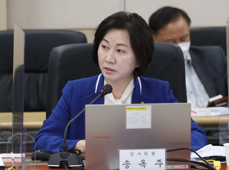 ‘지역구 경로당에 기부’ 혐의 與 송옥주 의원 무죄 확정