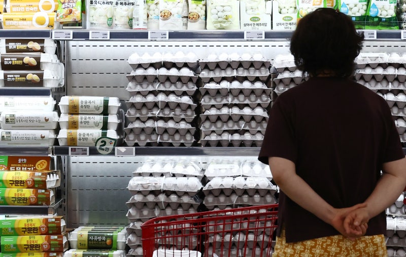 계란 한 판 4000원대로 내린다…이마트, 수입 신선란 16일부터 가격 인하