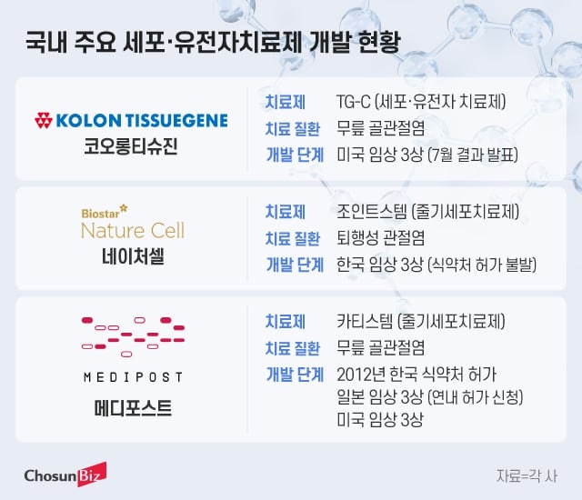 '재생의학의 꽃' 韓 세포·유전자 치료제...임상 실패에 출렁, 규제에... - 뉴스 썸네일 이미지