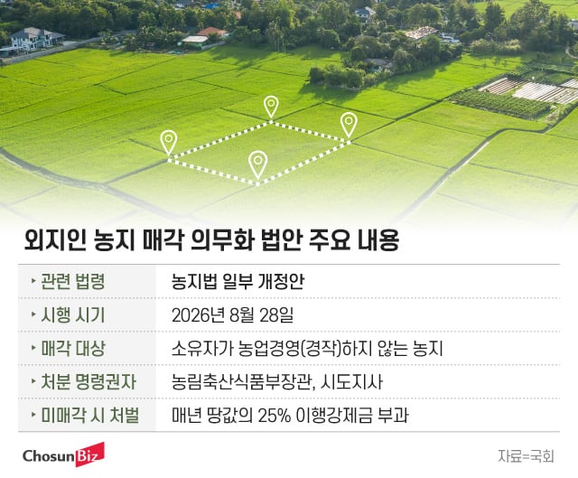 그래픽=정서희