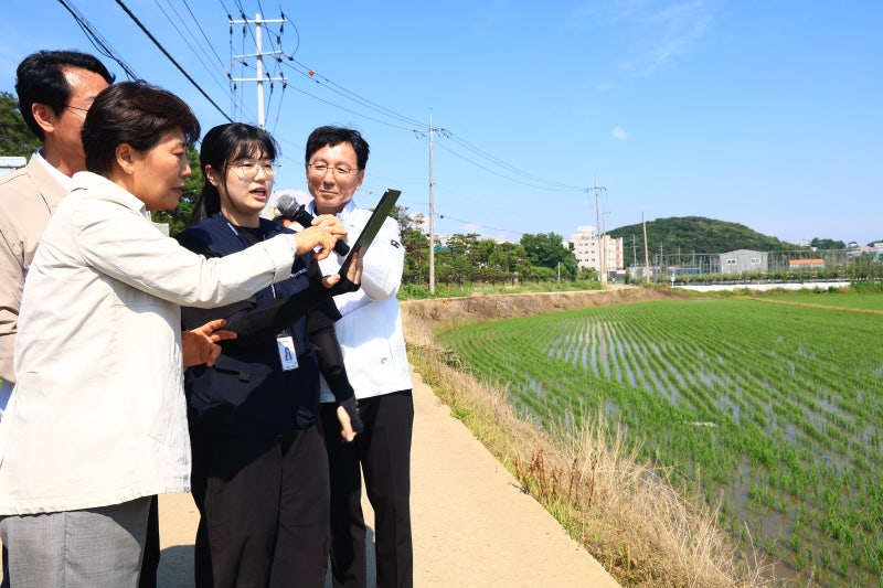 [정책 인사이트] 대통령 지시로 시작한 ‘<b>농지 전수조사</b>’, 농민 반발에...
