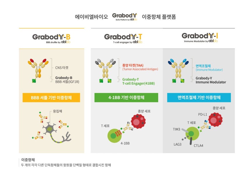 에이비엘바이오 그랩바디 플랫폼 개요도./에이비엘바이오