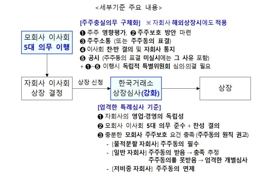 중복상장 세부기준 주요 내용. /금융위원회 제공