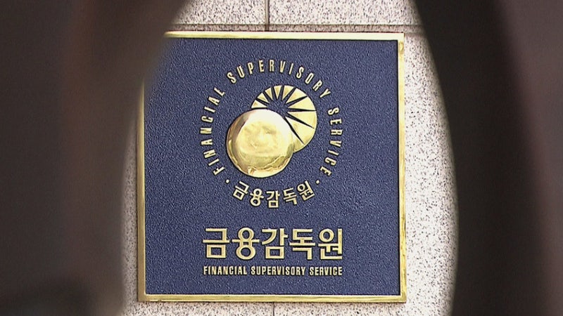 금감원, 홈플러스 사태 <b>MBK</b> 직무정지 중징계