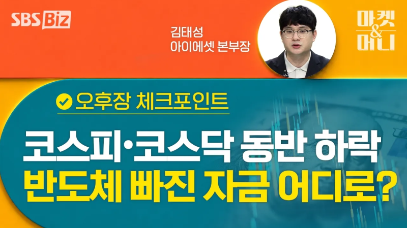 [오후장 체크포인트] 코스피•코스닥 동반 하락 반도체 빠진 자금 어디로?