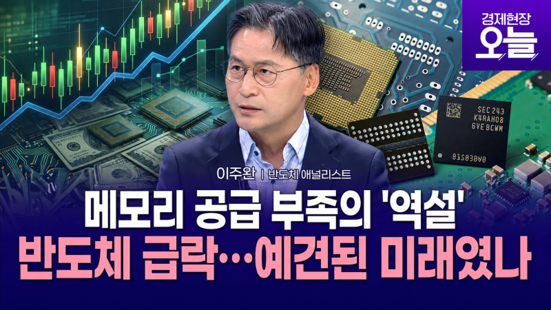 [이슈체크] "메모리 가격, 감산이 만든 환상"…반도체 급락, 예견된 미래...
