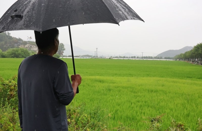 가뭄 속 '단비' 내렸지만…대구·경북 <b>저수율</b> '저조'