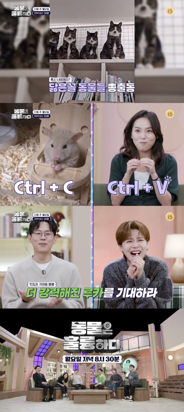 [정보/소식] 데프콘 "감옥도 저렇게 안 해” 반려견 유치원 학대에 분노 (동물은 훌륭하다) | 인스티즈