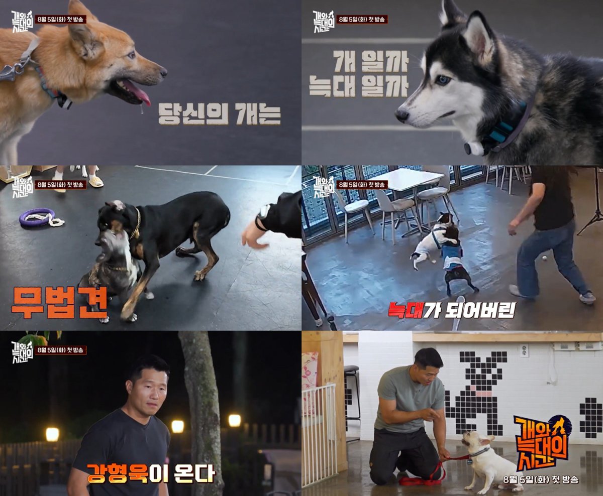 ‘개통령’ 강형욱 컴백…채널A ‘<b>개와 늑대의 시간</b>’, 8월 5일 첫방송