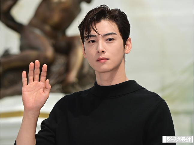 [단독] 차은우 탈세 의혹 확산 “청담 매장, 가족과 무관…판타지오 자회사 운영”