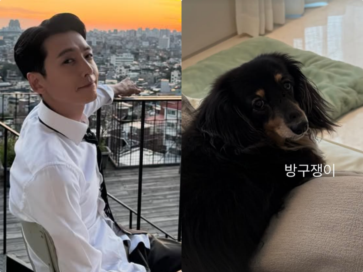 《浪漫速成班》鄭敬淏分手後曬愛犬淏英 崔秀英14年戀情引關注
