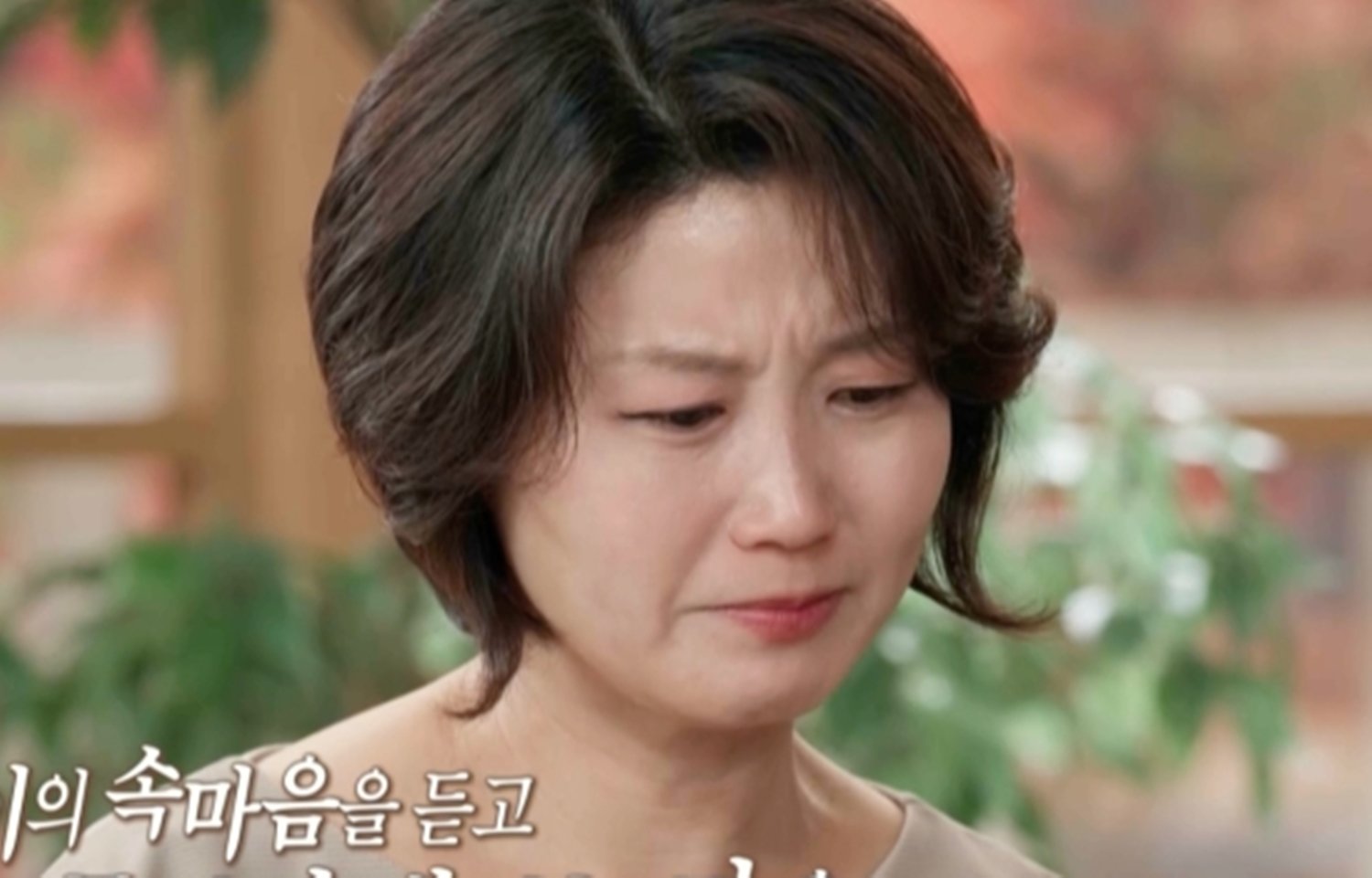 결혼지옥 아들 심리적 고통과 부모 갈등의 심각성