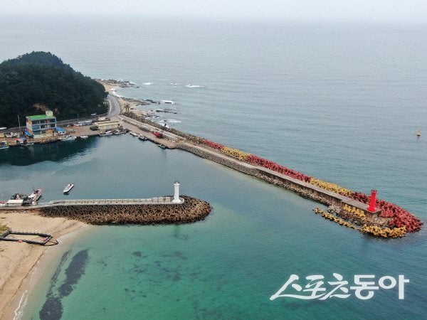 울진 <b>해파랑길</b>, 단풍 대신 푸른 바다에 물드는 가을
