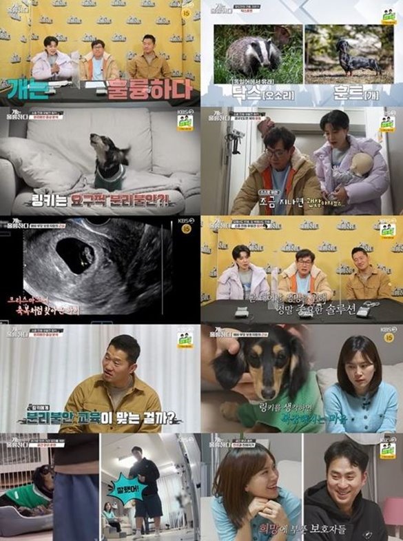 ‘<b>개훌륭</b>’ 최초 민원 발생…<b>강형욱</b>, 분리 불안 고민견에 ‘<b>켄넬 훈련</b>’