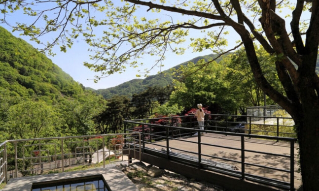 이야기정원 이미지
