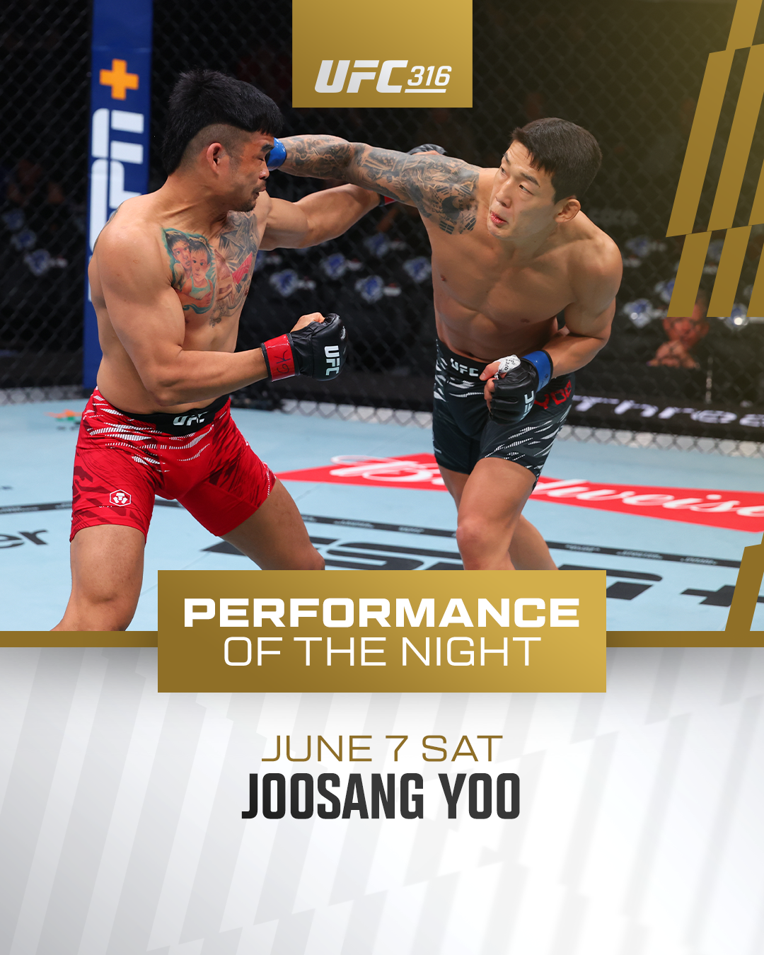 ‘맥그리거 소환’ 카운터펀치… 좀비 주니어 <b>유주상</b>, 28초 만에 UFC 데뷔...