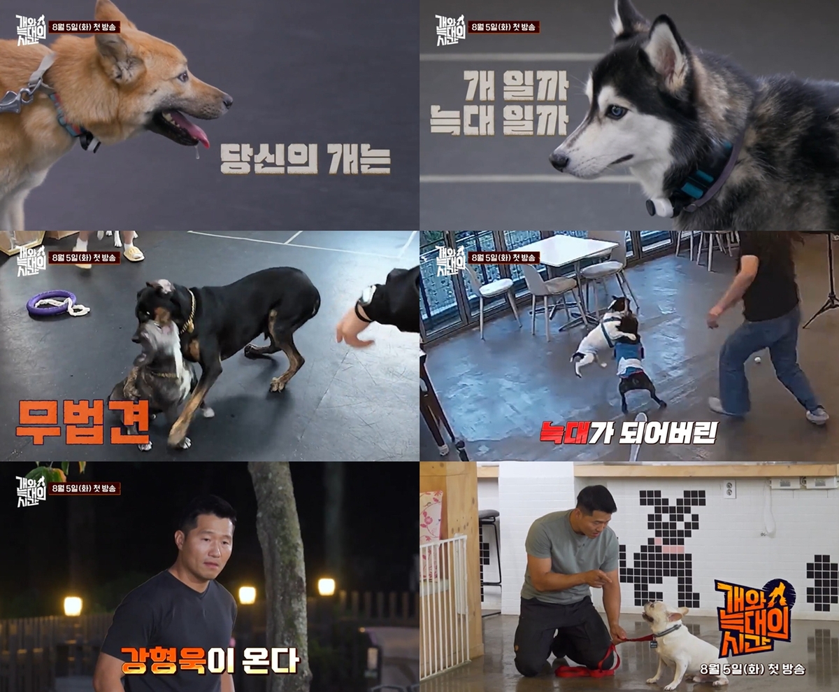 <b>강형욱 방송 복귀</b>, ‘개와 늑대의 시간’ 다음달 5일 첫방송