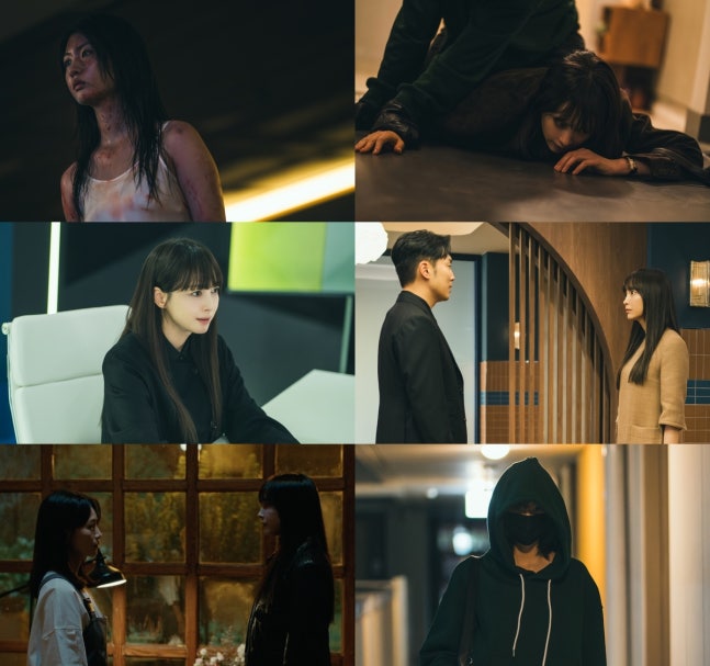 《榮耀：她們的法庭》口碑逆襲熱度飆升 演員表現助攻劇情討論度飆高