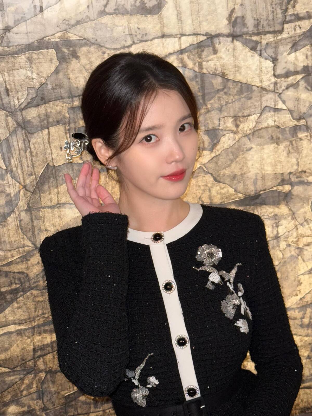 아이유, 미 법원에 ‘메타 증거개시’ 신청… 해외 SNS 악플러 신원 확...