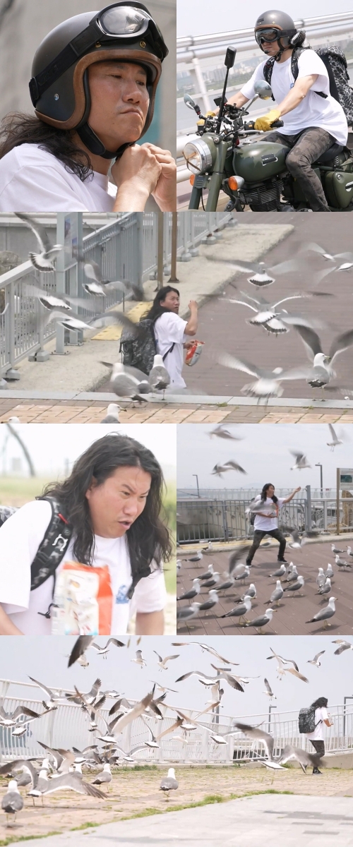 "뺏긴 느낌"…<b>임우일</b>, 갈매기 떼 공격에 비명 (<b>나혼산</b>)